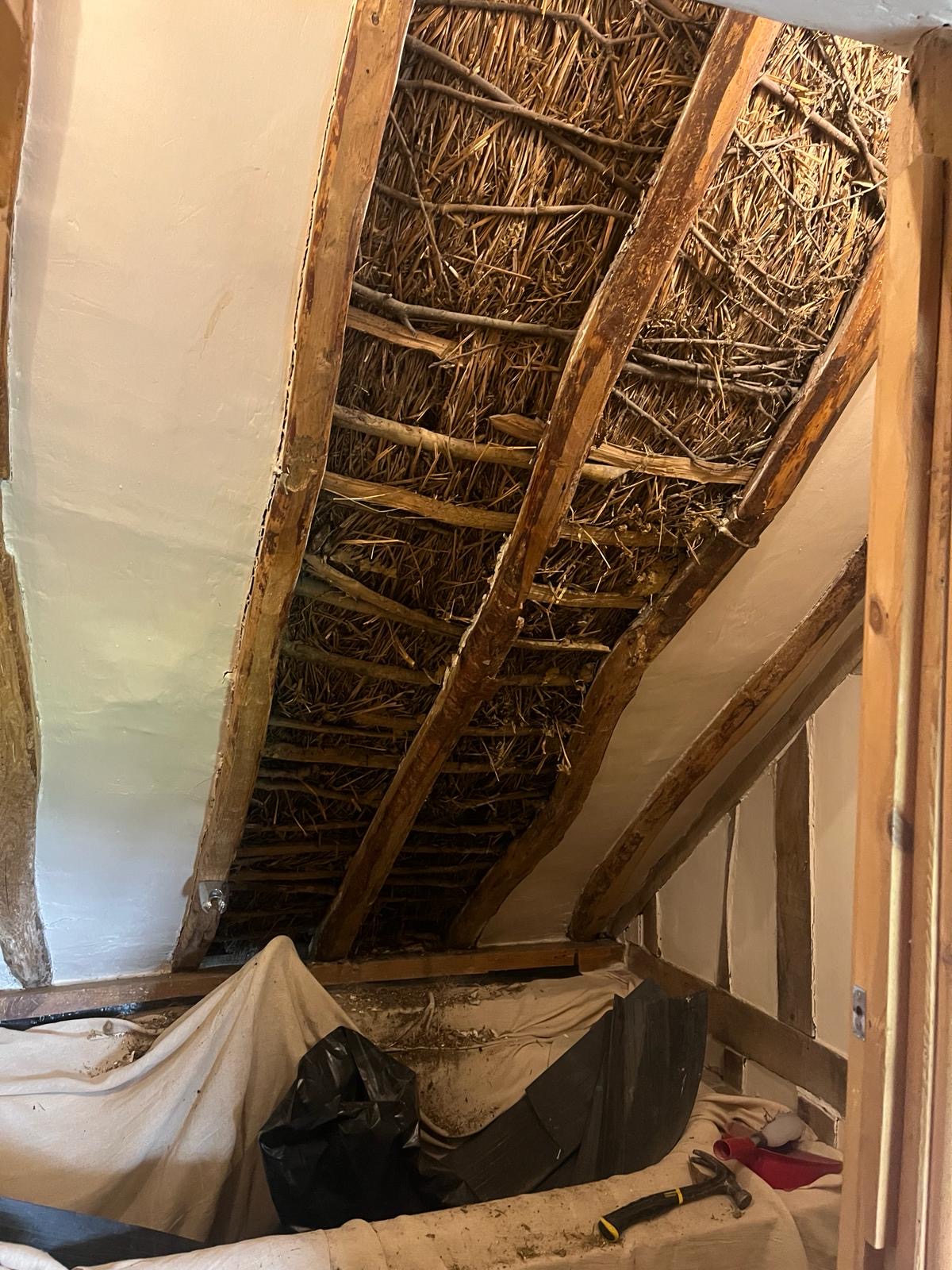 Ceiling Repairs Image 4
