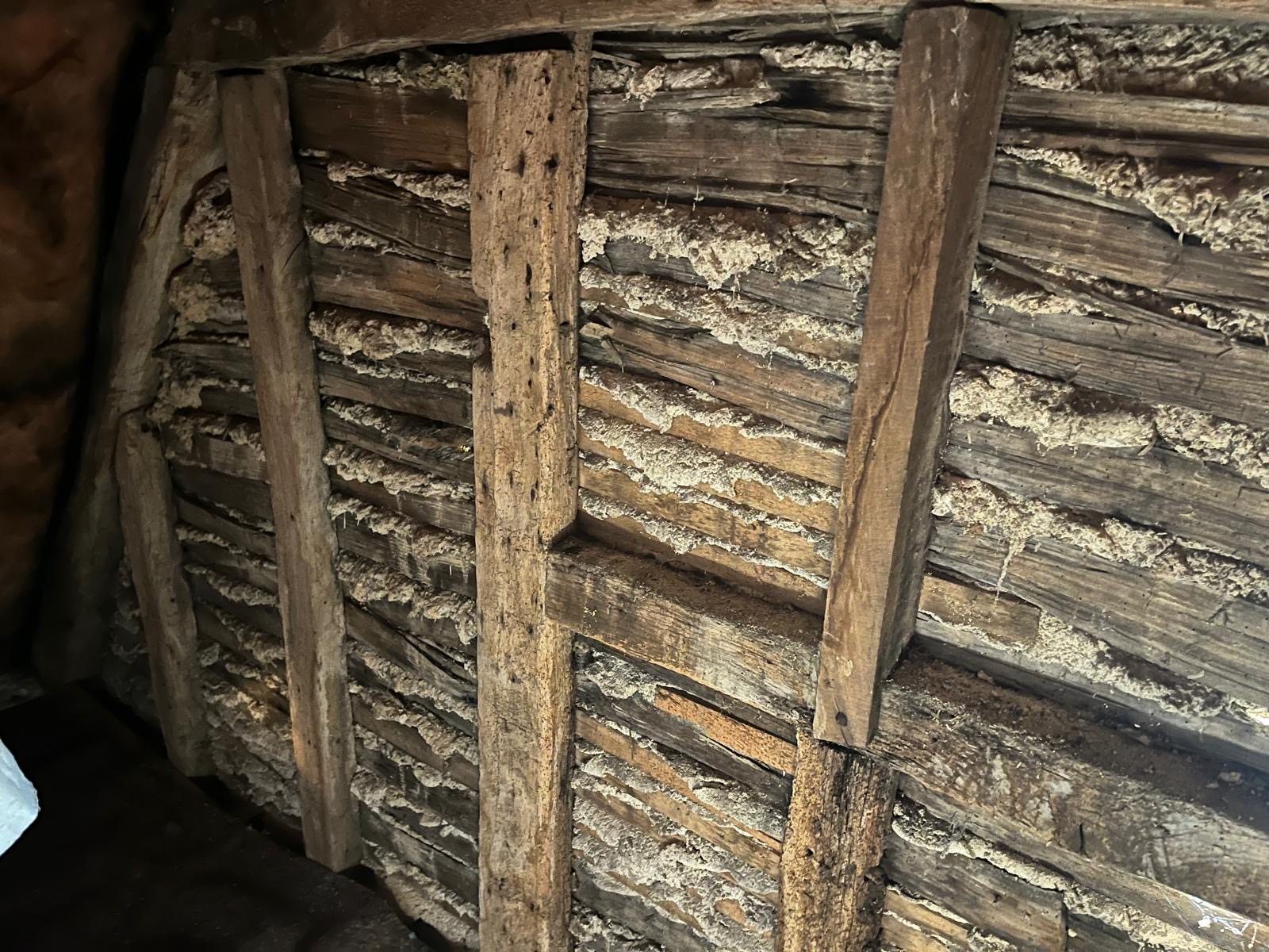 Lime Plastering Image 2