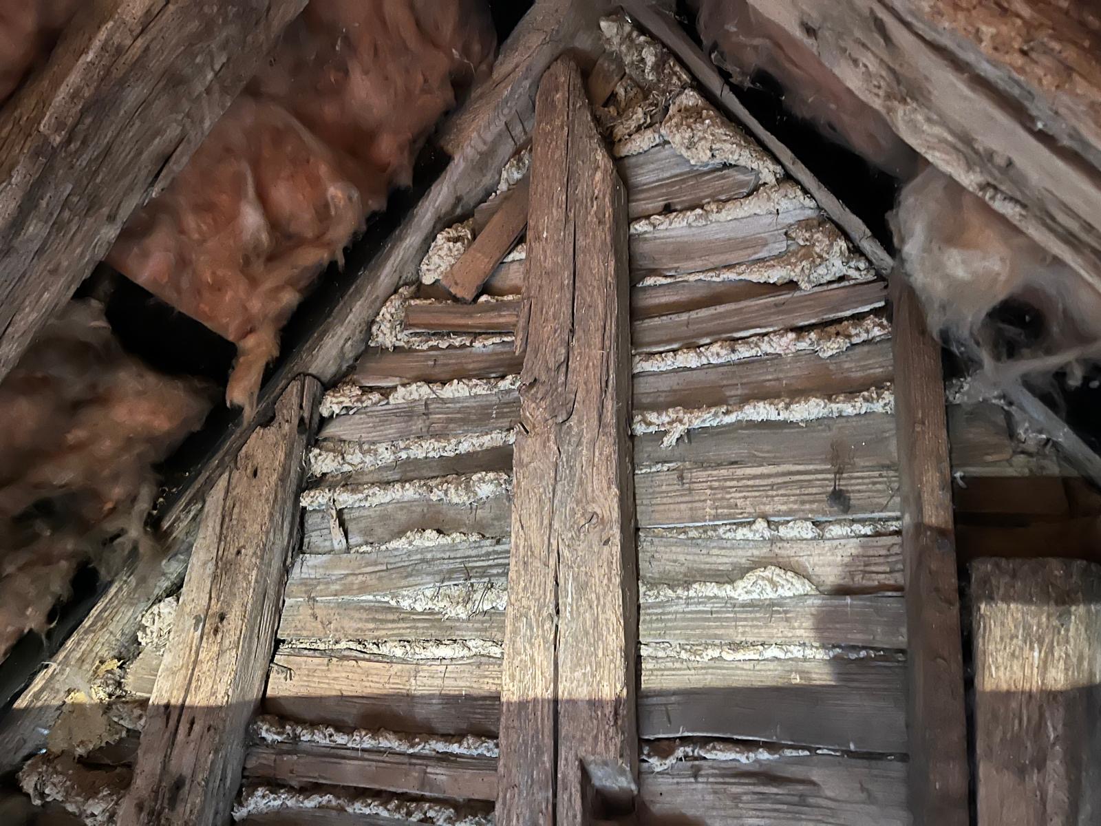 Lime Plastering Image 3