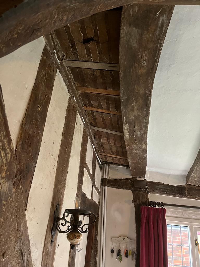 Lime Plastering Image 1